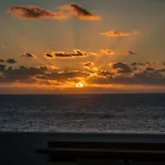 Terregal