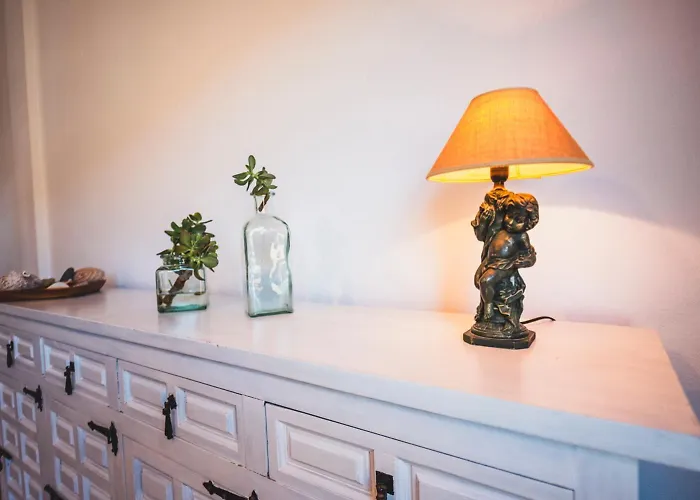 Apartament Terregal